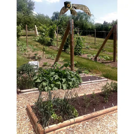 Prowler Owl Decoy with Flapping Wings for Effective Bird Repellent and Pigeon Scarecrow.
