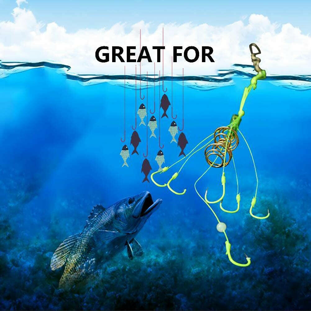 Catch more carp with our 4-pack of Fishing Feeders and Hooks! 🎣🐟 #CarpFishing #FishingGear.