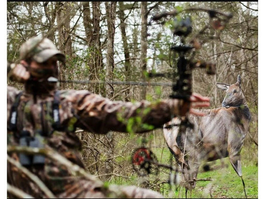 Rocky Mountain Elk Foundation Elk Decoy.