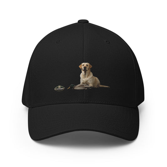 Structured Twill Cap LAB.