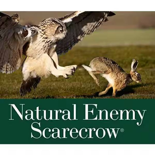 Great Horned Owl Decoy - 16 Inch Realistic Scarecrow for Natural Pest Control.