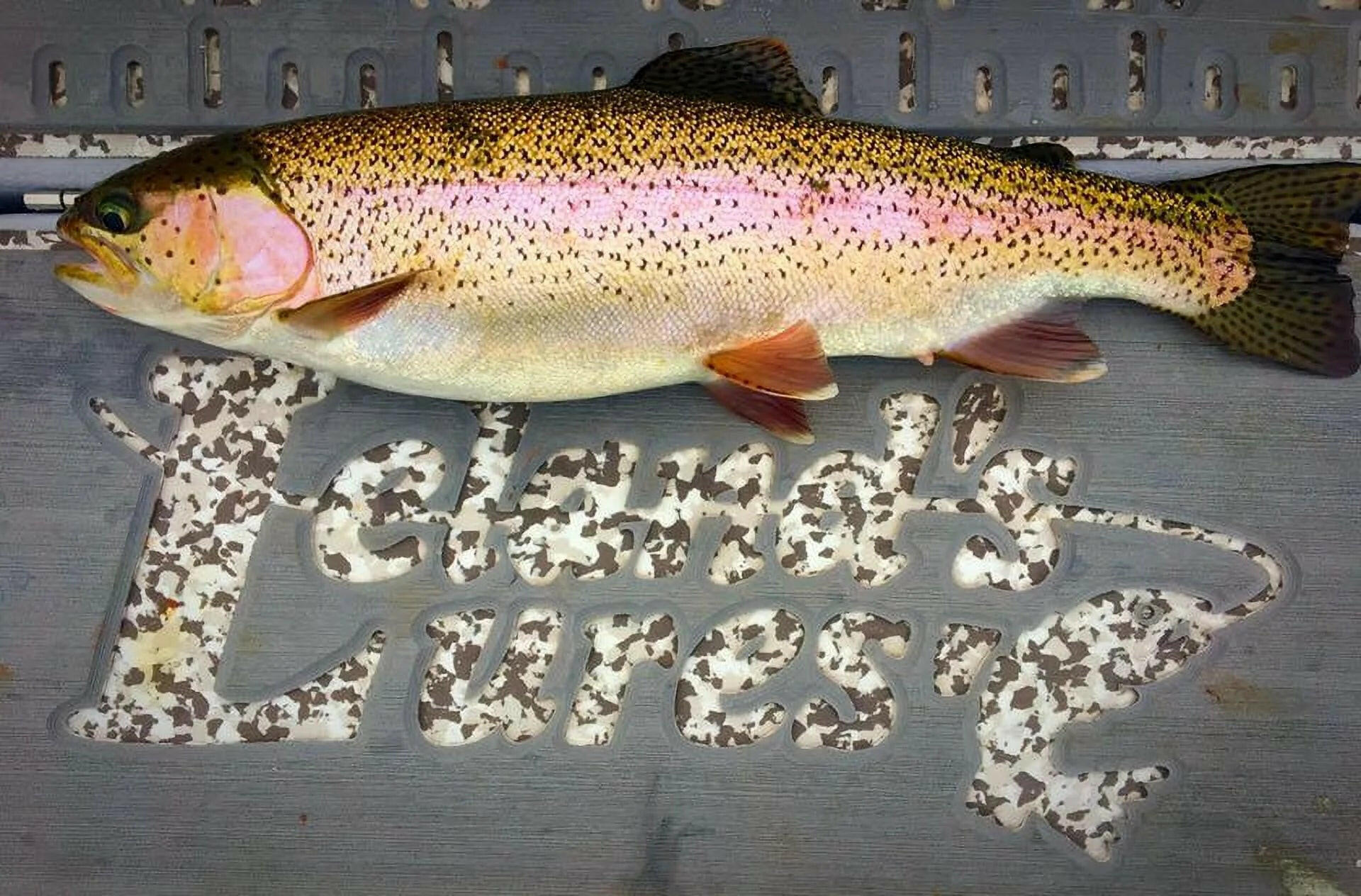 Trout Magnet Salmon Fix Softbait and Float Combo, Gold.