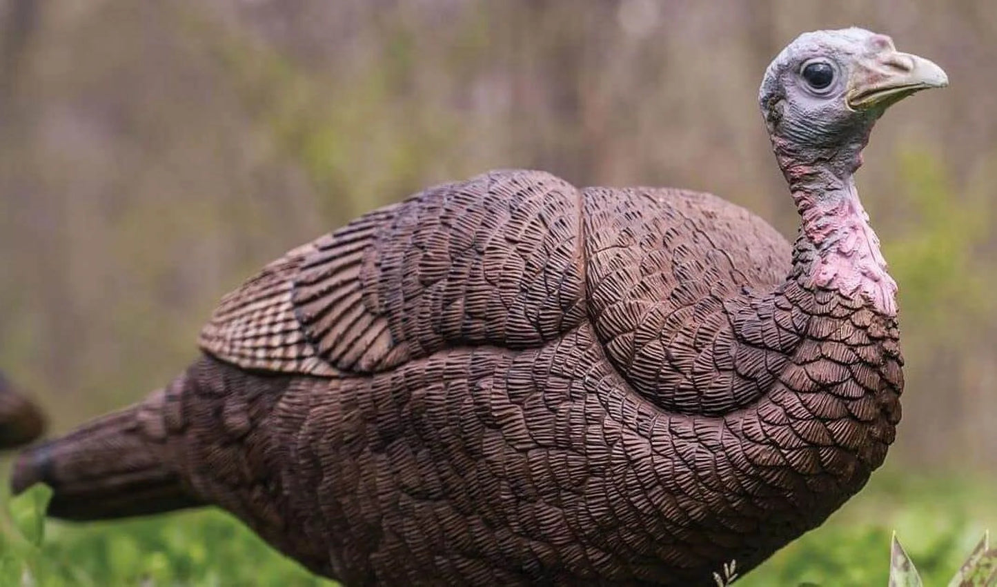 Turkey Decoy Lil Gobbstopper Jake and Hen Combo, Molded Rubber