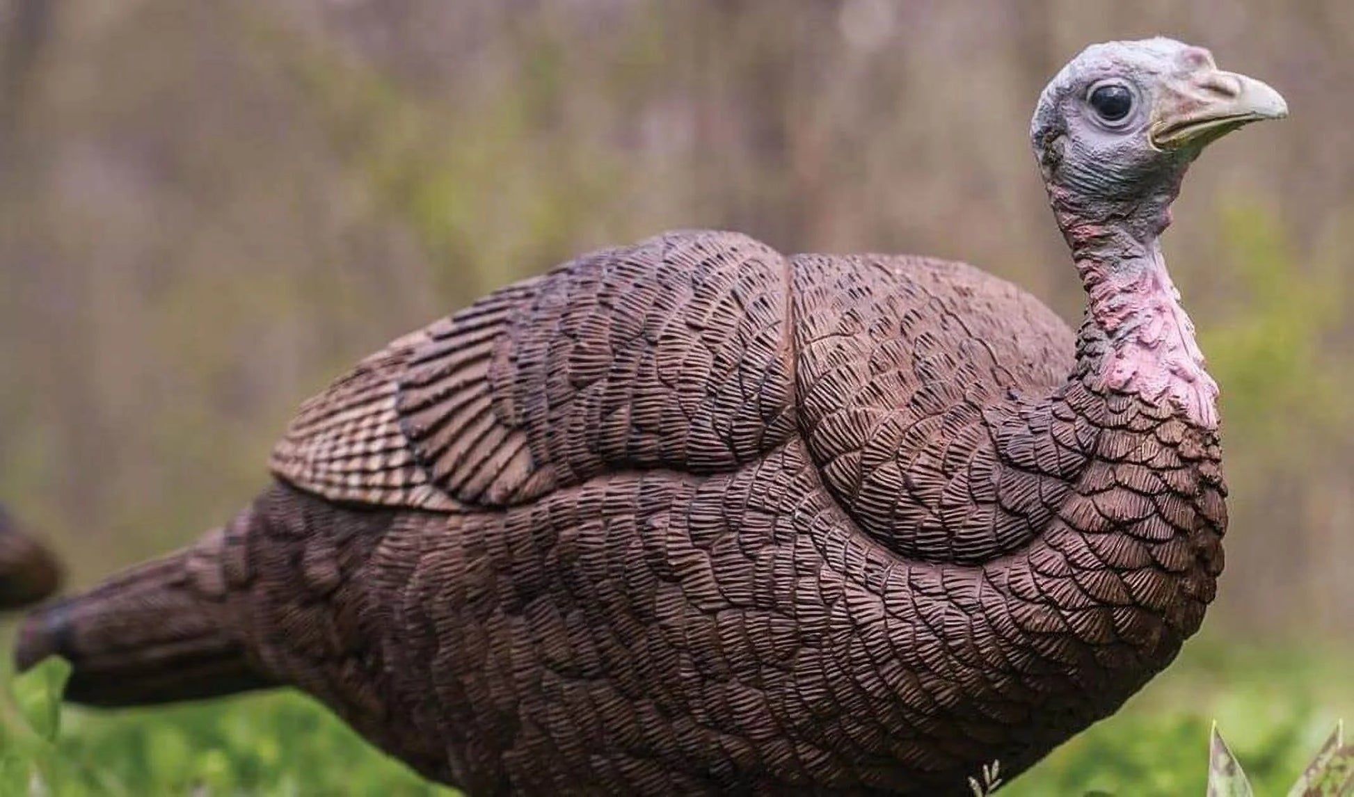 Turkey Decoy Lil Gobbstopper Jake and Hen Combo, Molded Rubber