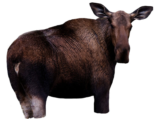 Moose II Hunting Decoy