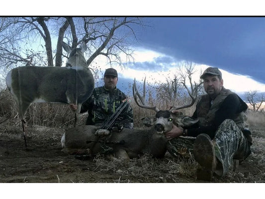 Miss Muley Deer Simulation Decoy