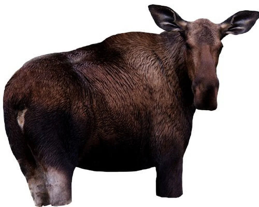 Moose II Hunting Decoy
