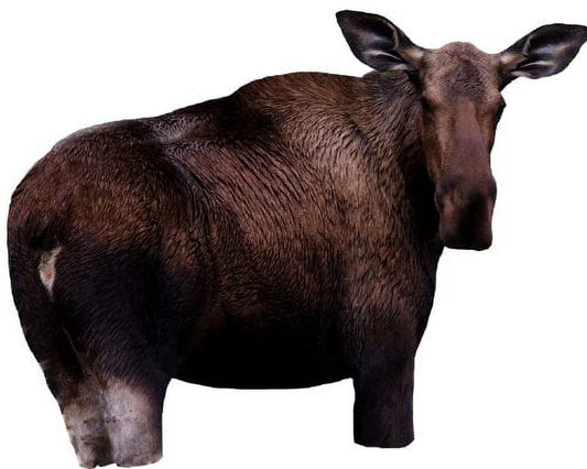 Moose II Hunting Decoy
