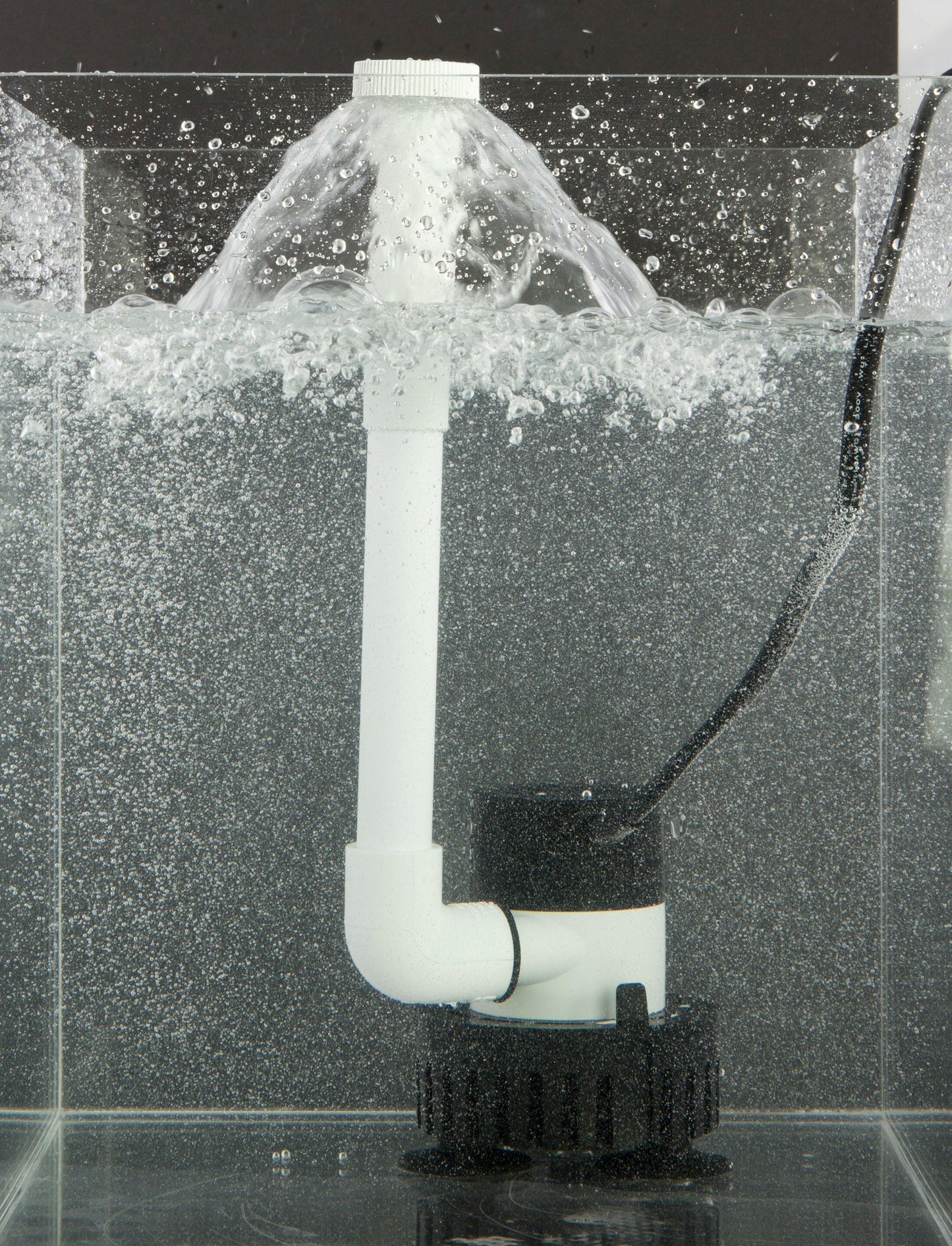 Ultimate Fish Saver: Preserve Freshness and Flavor!.