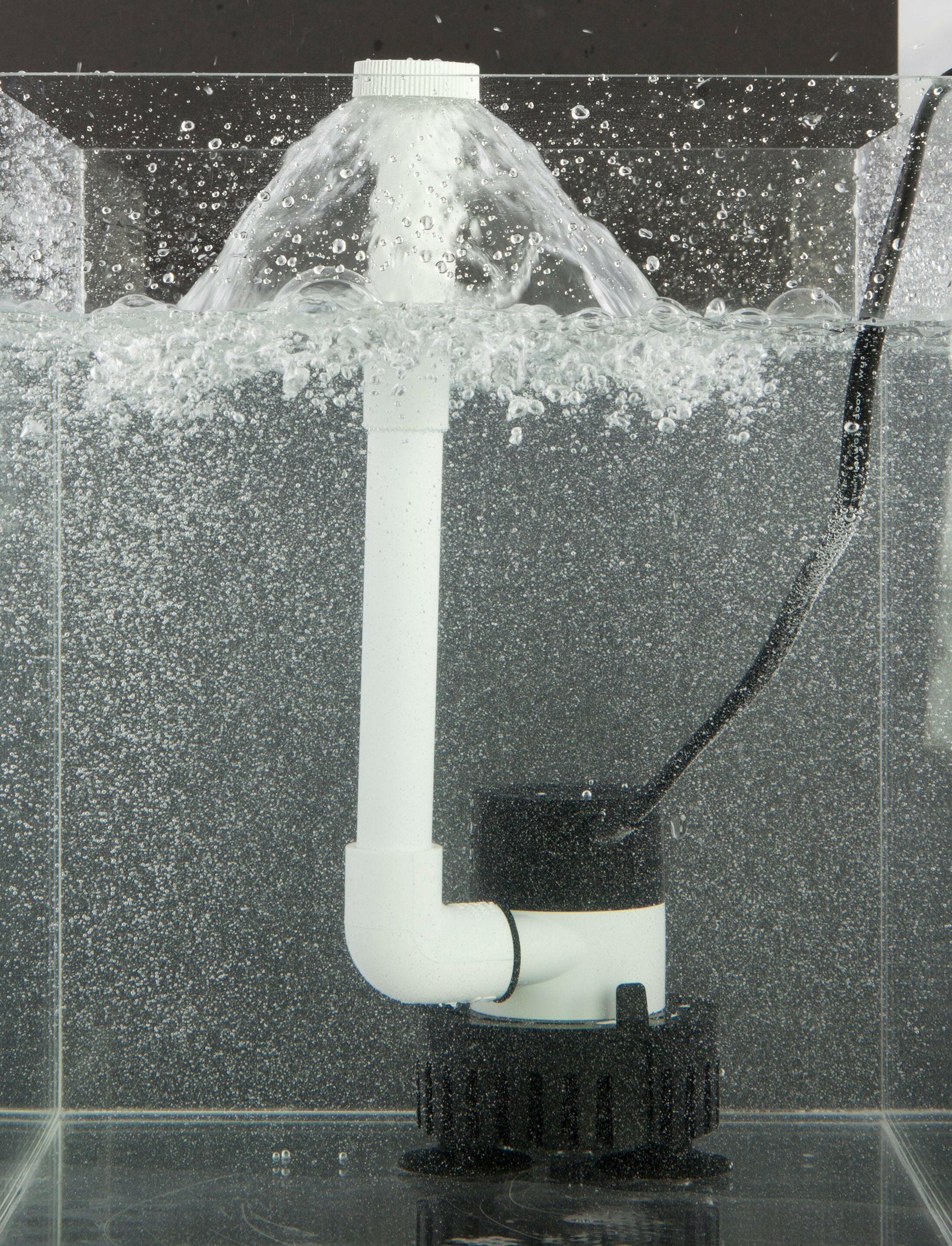 Ultimate Fish Saver: Preserve Freshness and Flavor!.