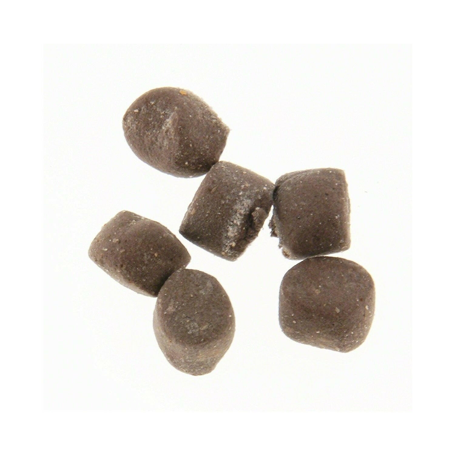PowerBait Cheese-Flavored Trout Nuggets - Ultimate Fishing Bait for a Successful Catch!