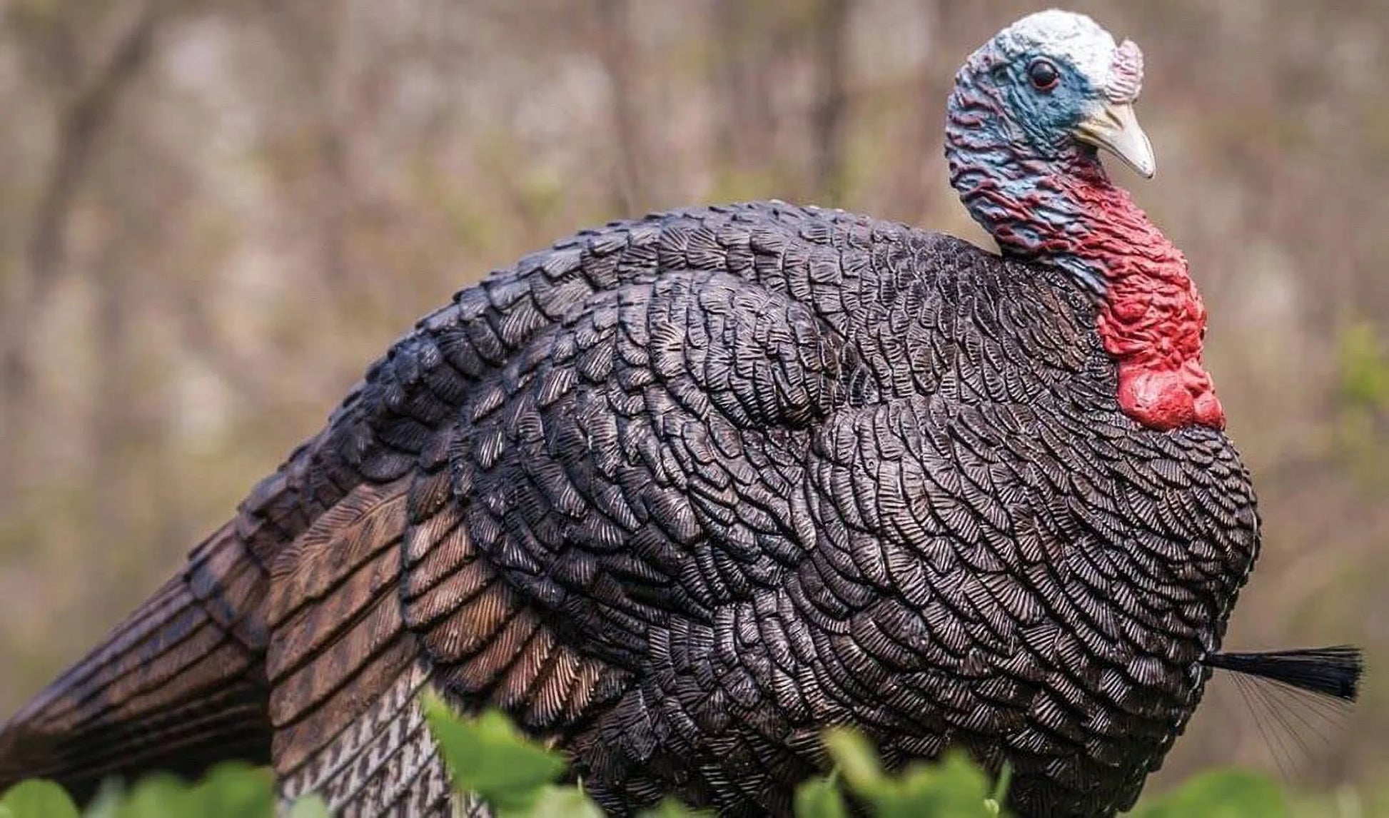 Turkey Decoy Lil Gobbstopper Jake and Hen Combo, Molded Rubber