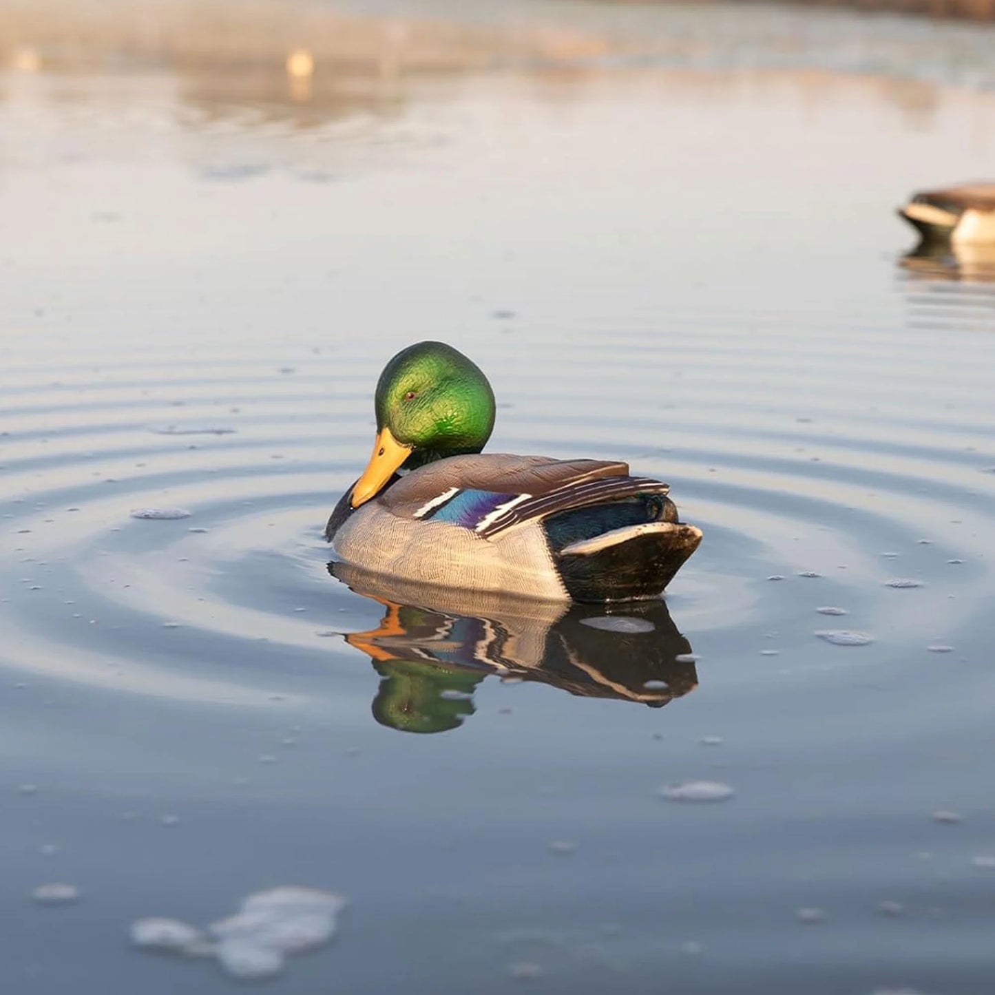 Power Shaker Mallard Drake Motion Duck Decoy - Floating Surface Preener in Multicolor