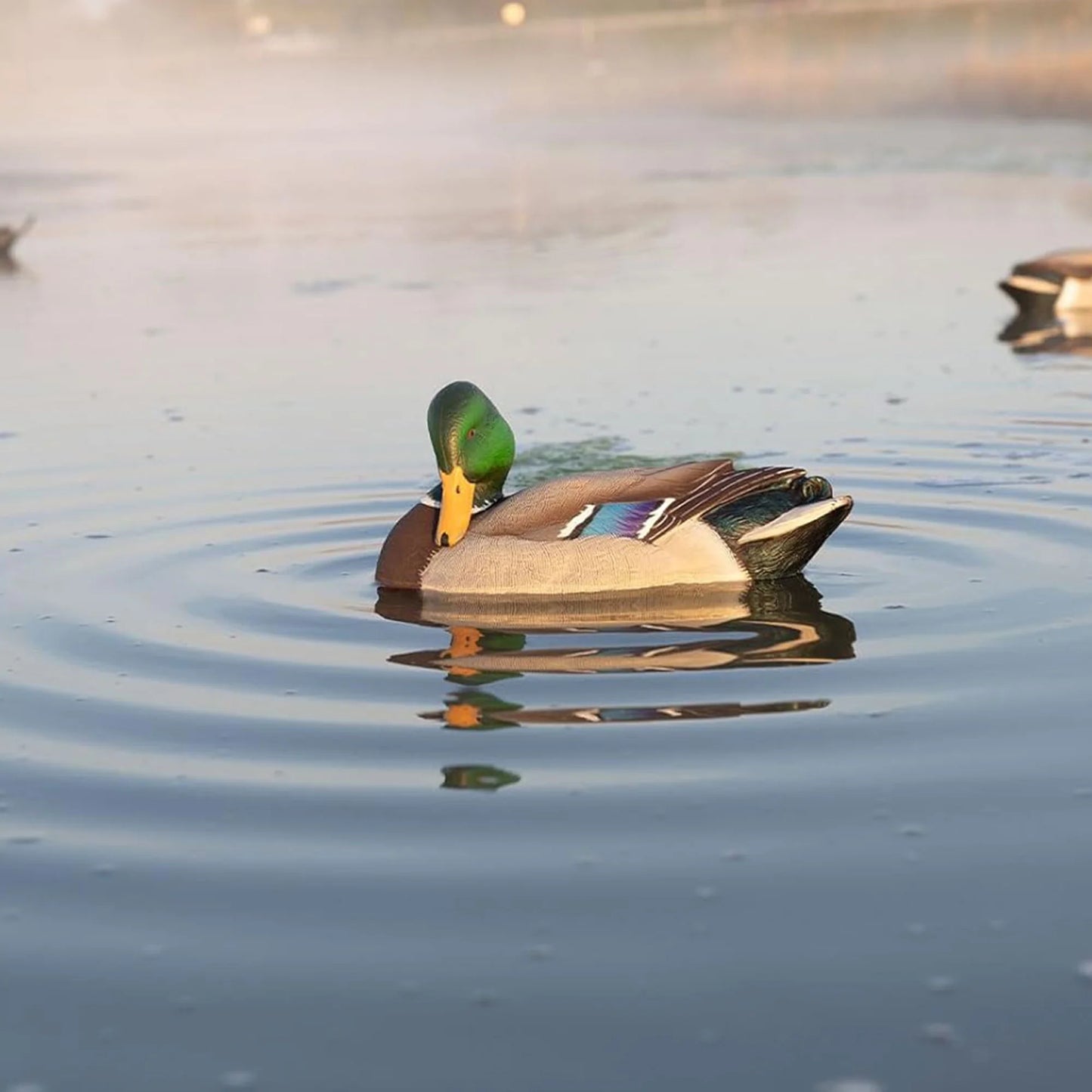 Power Shaker Mallard Drake Motion Duck Decoy - Floating Surface Preener in Multicolor