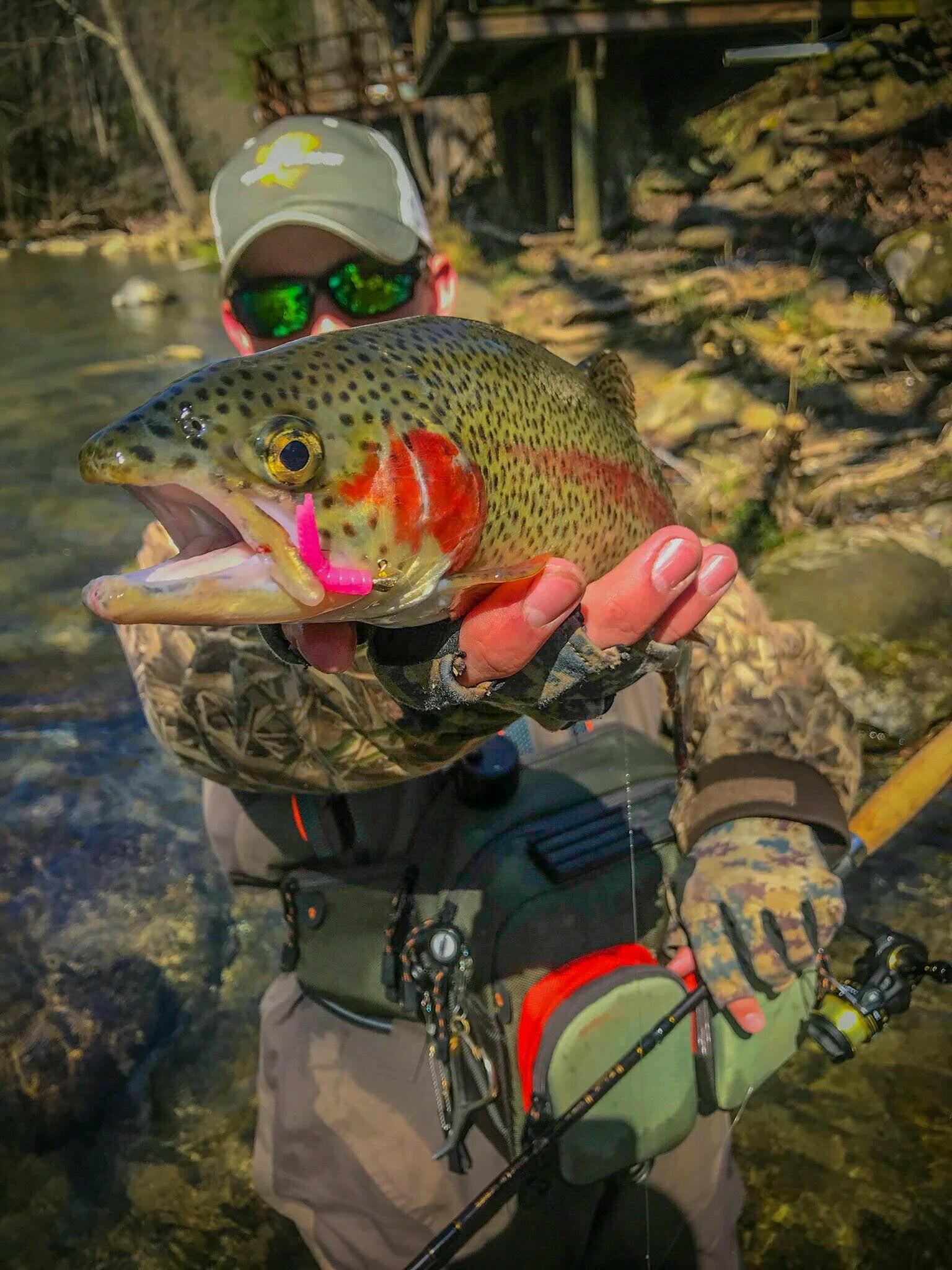 Catch more fish with the Trout Magnet Neon Softbait Kit - 85 pieces of vibrant fun! 🎣✨.