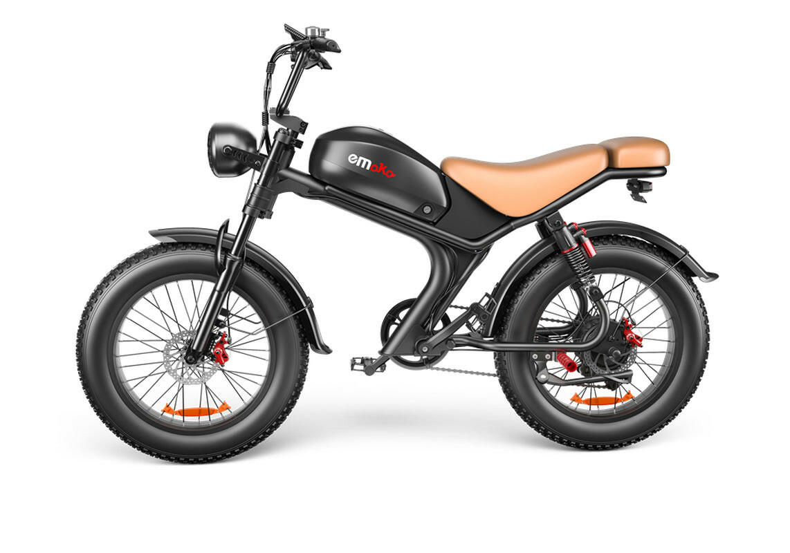 C93 20-Inch Electric Bike with 20A Battery.