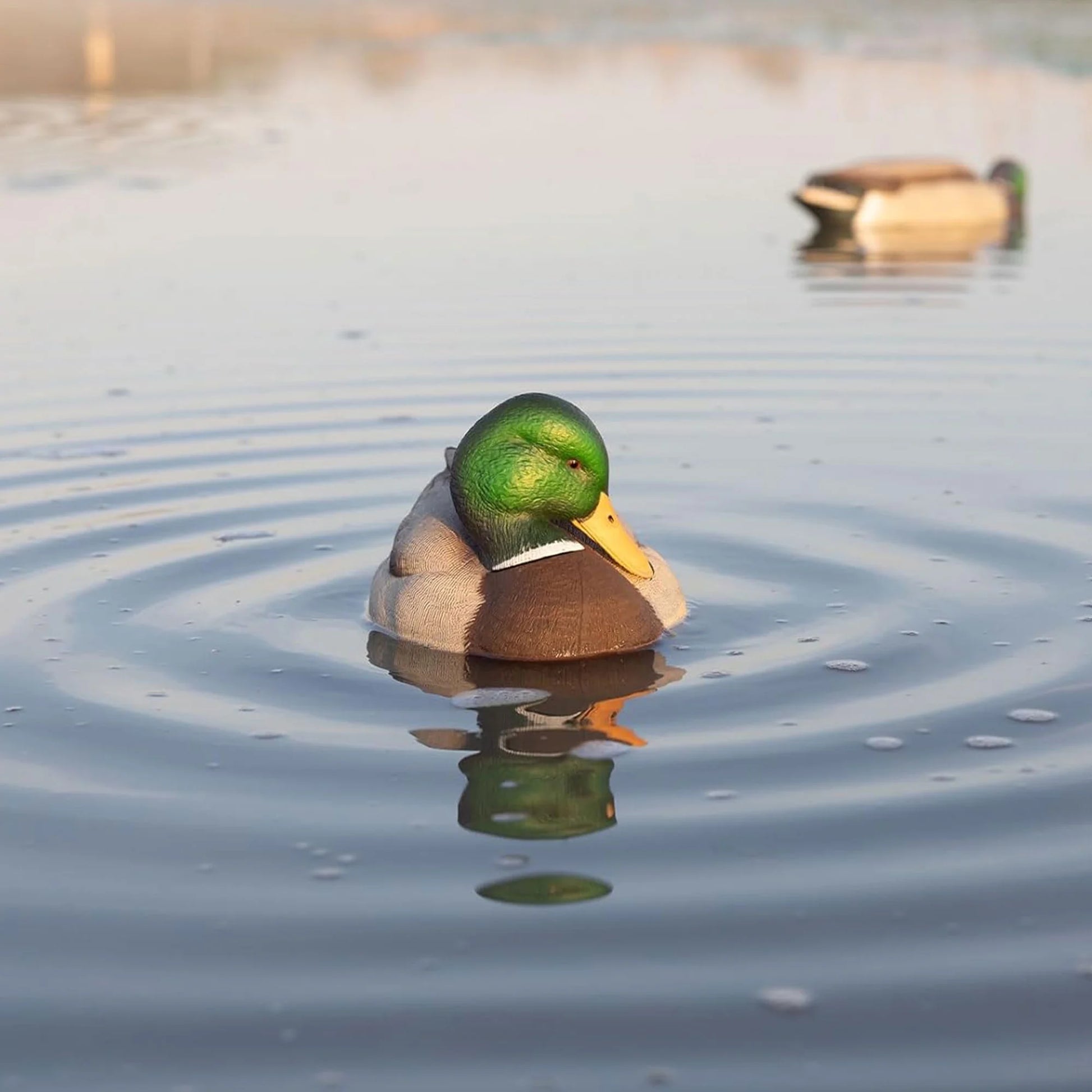 Power Shaker Mallard Drake Motion Duck Decoy - Floating Surface Preener in Multicolor