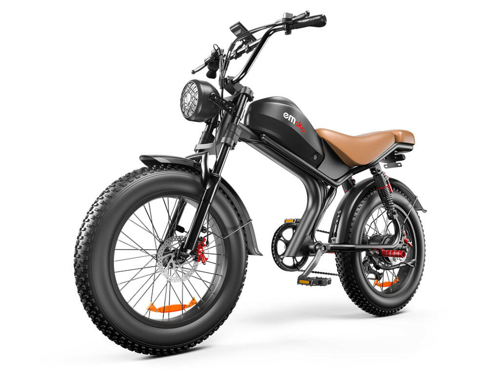 C93 20-Inch Electric Bike with 20A Battery.