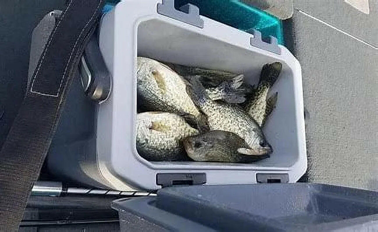 Mr. Crappie Mega Spool Fishing Line