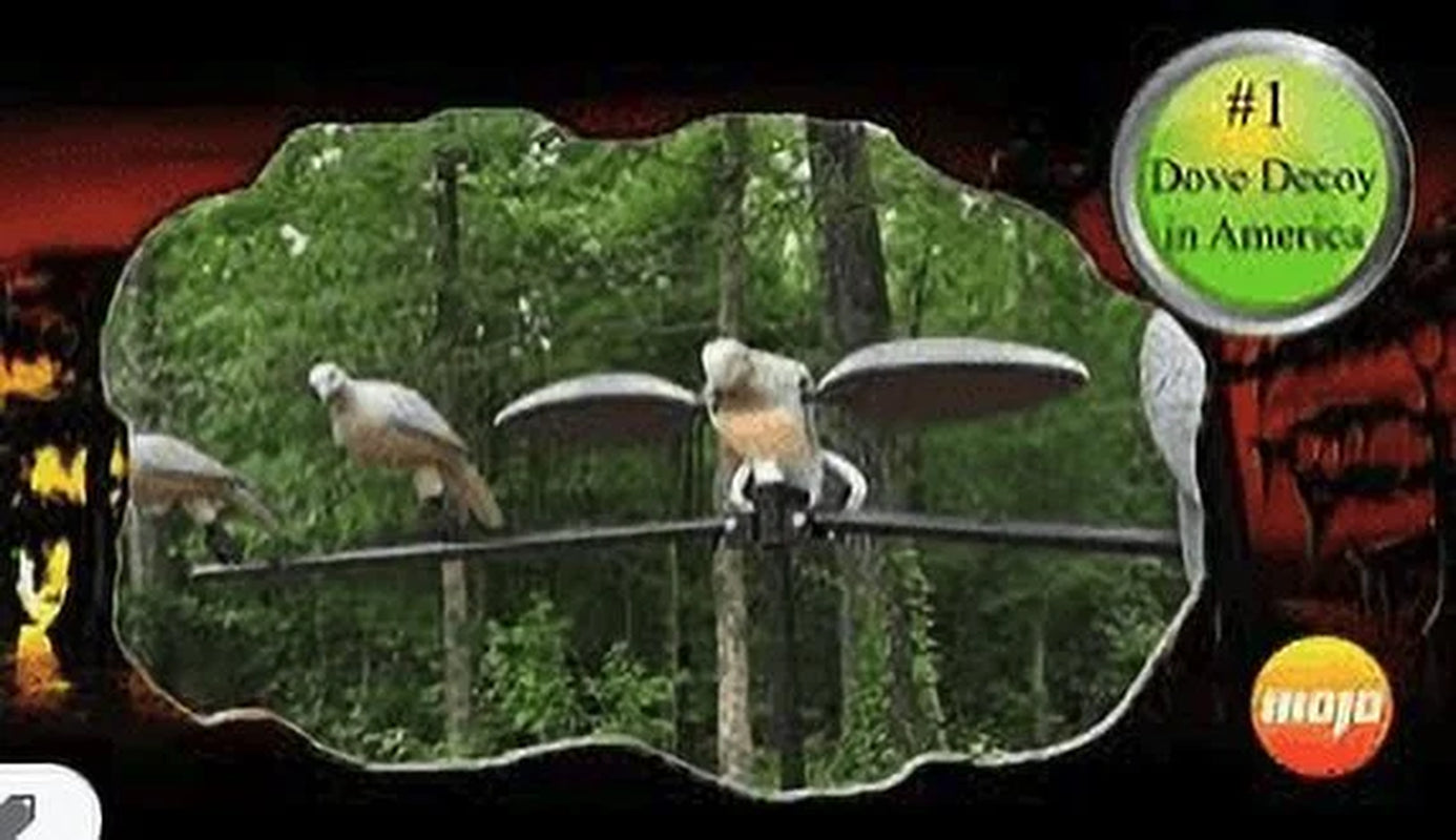 Clip-On Dove Decoys, 4-Pack, HW9004, Lightweight Design, Ideal for Dove Hunting
