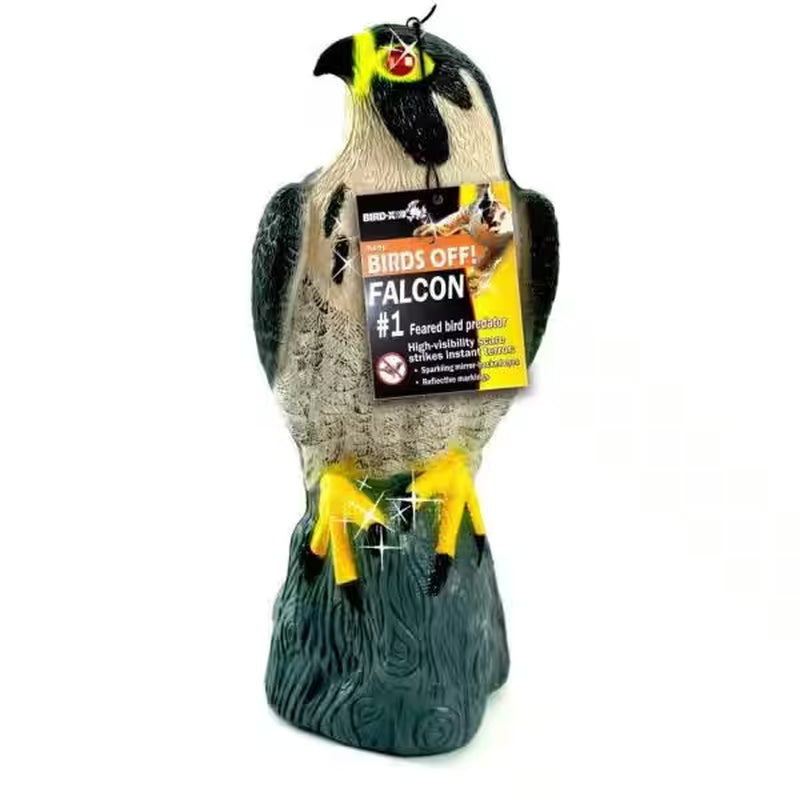 Falcon Predator Decoy for Effective Pigeon Deterrence