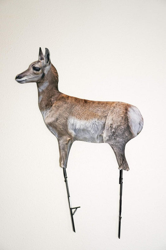 Antelope Fawn in Brown