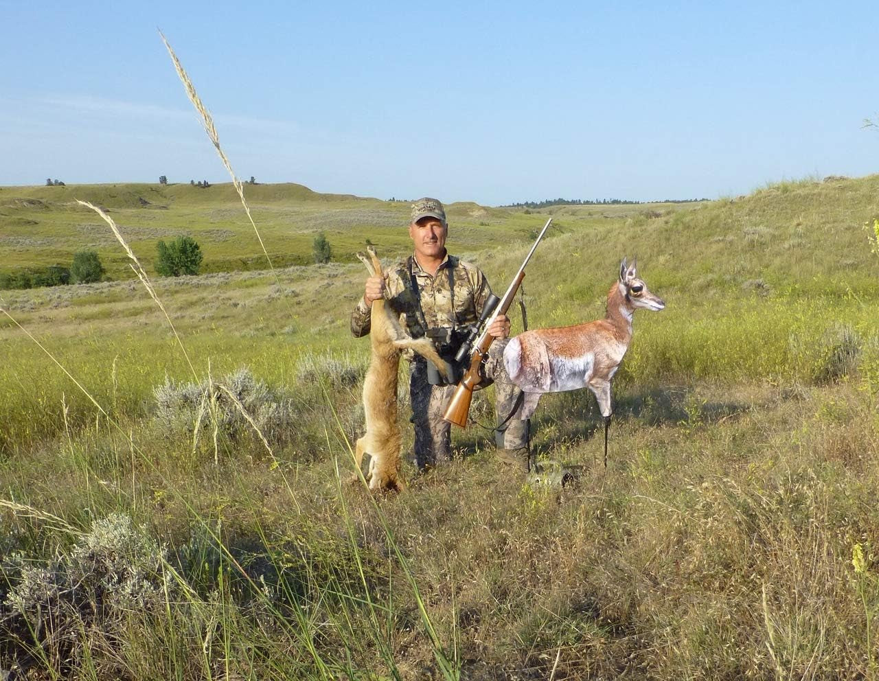 Antelope Fawn in Brown