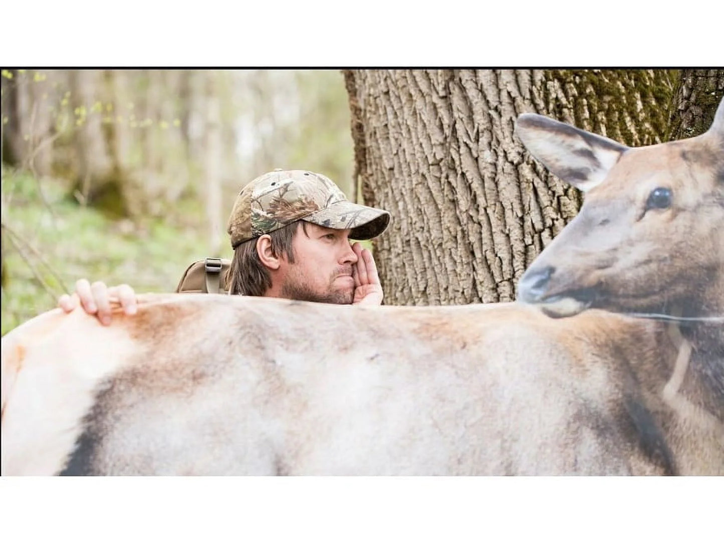 Rocky Mountain Elk Foundation Elk Decoy