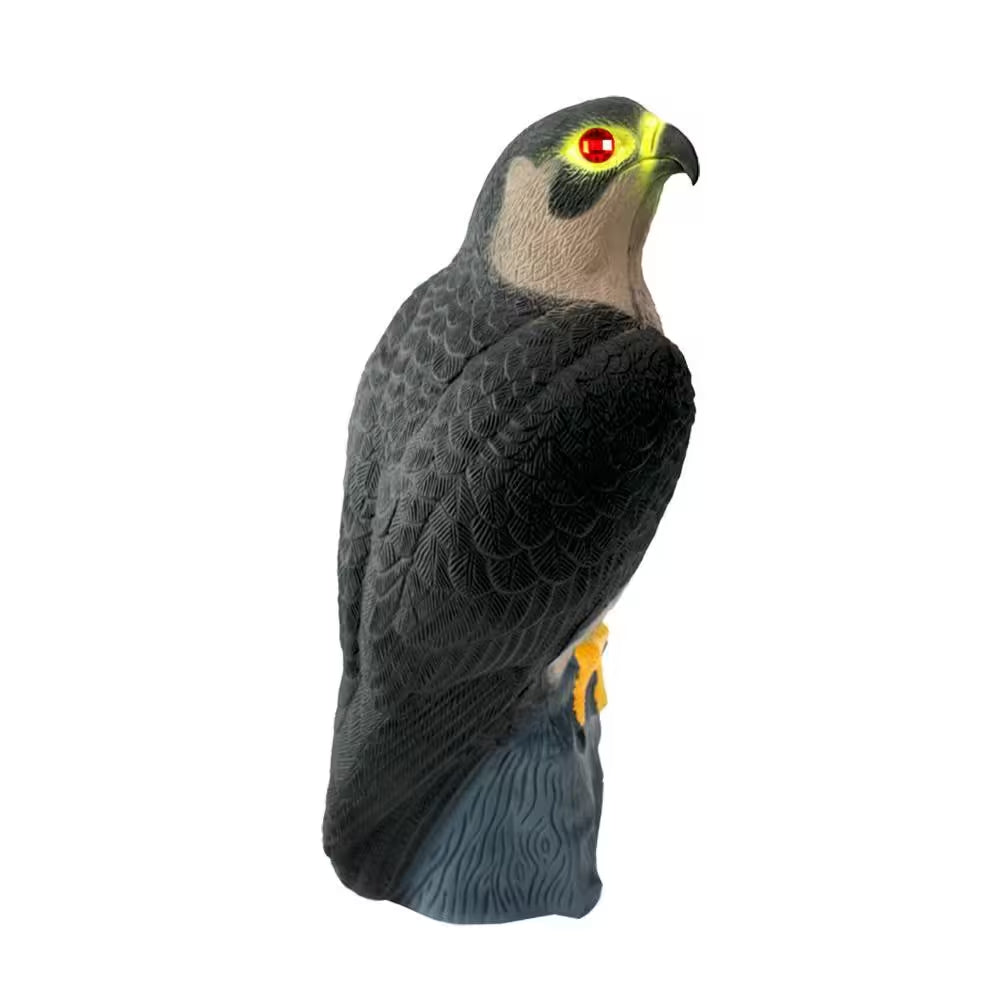 Falcon Predator Decoy for Effective Pigeon Deterrence