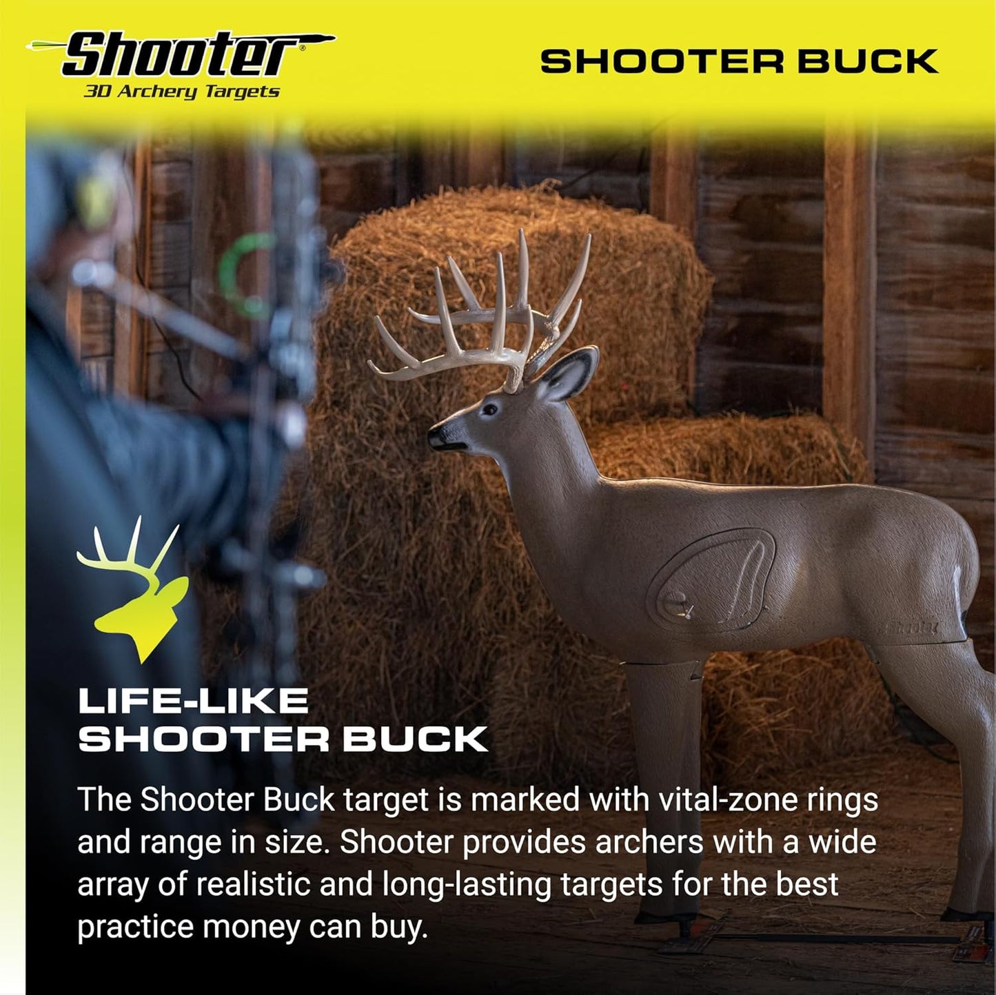 Buck 3D Deer Archery Practice Target