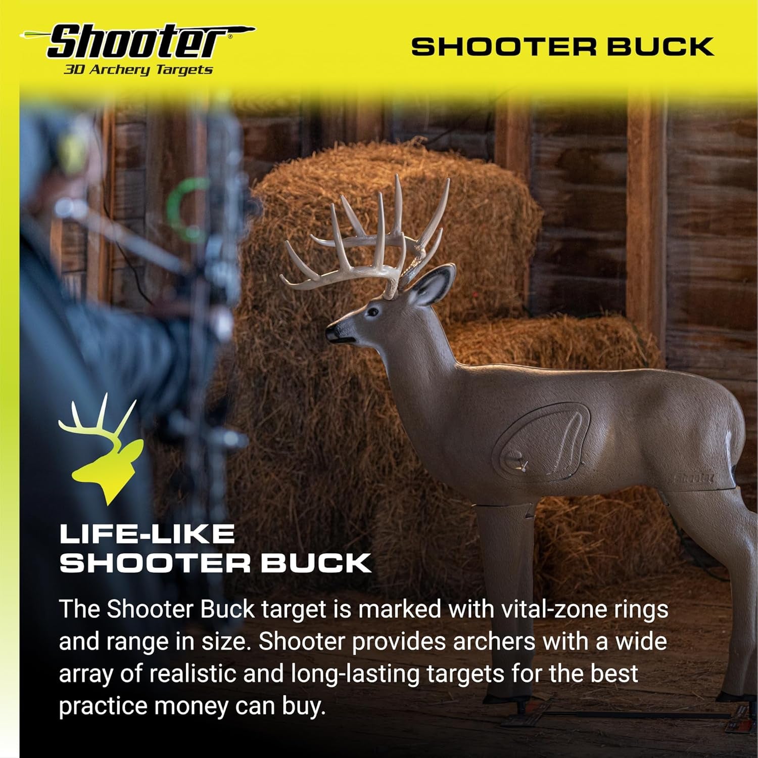 Buck 3D Deer Archery Practice Target