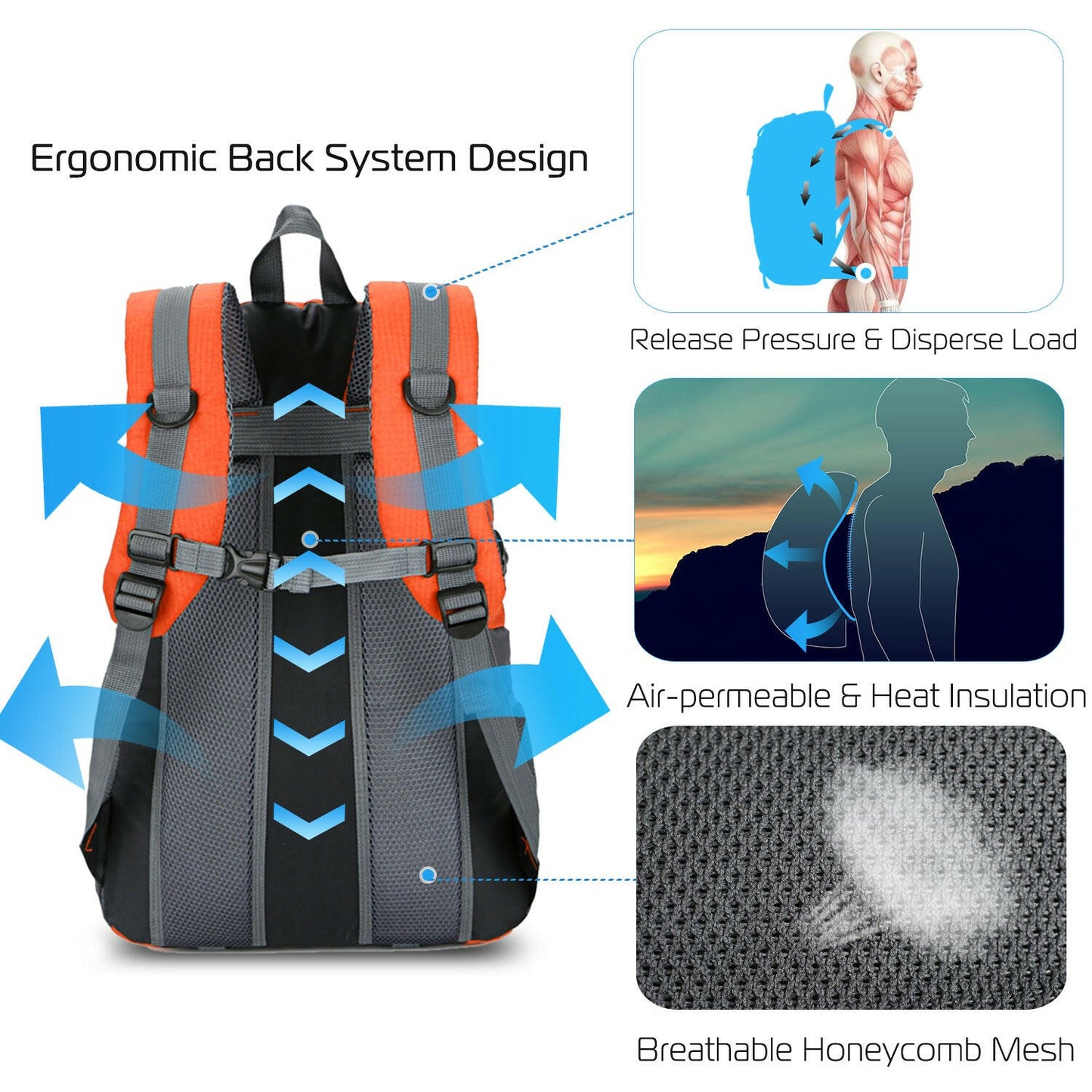 36L Waterproof Outdoor Backpack for Travel and Day Trips