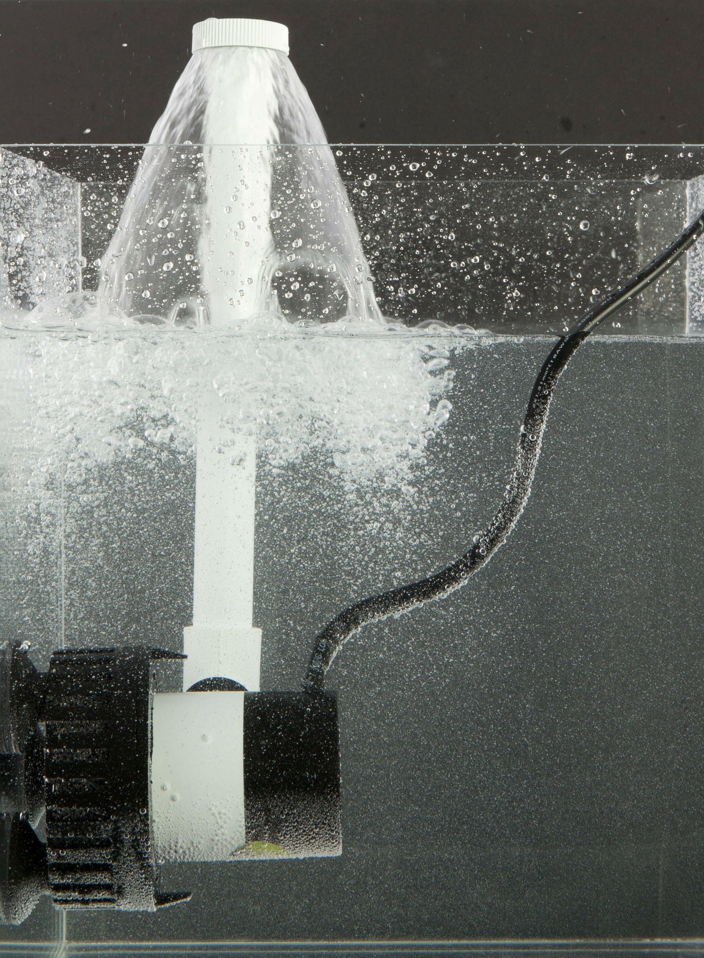 Ultimate Fish Saver: Preserve Freshness and Flavor!.