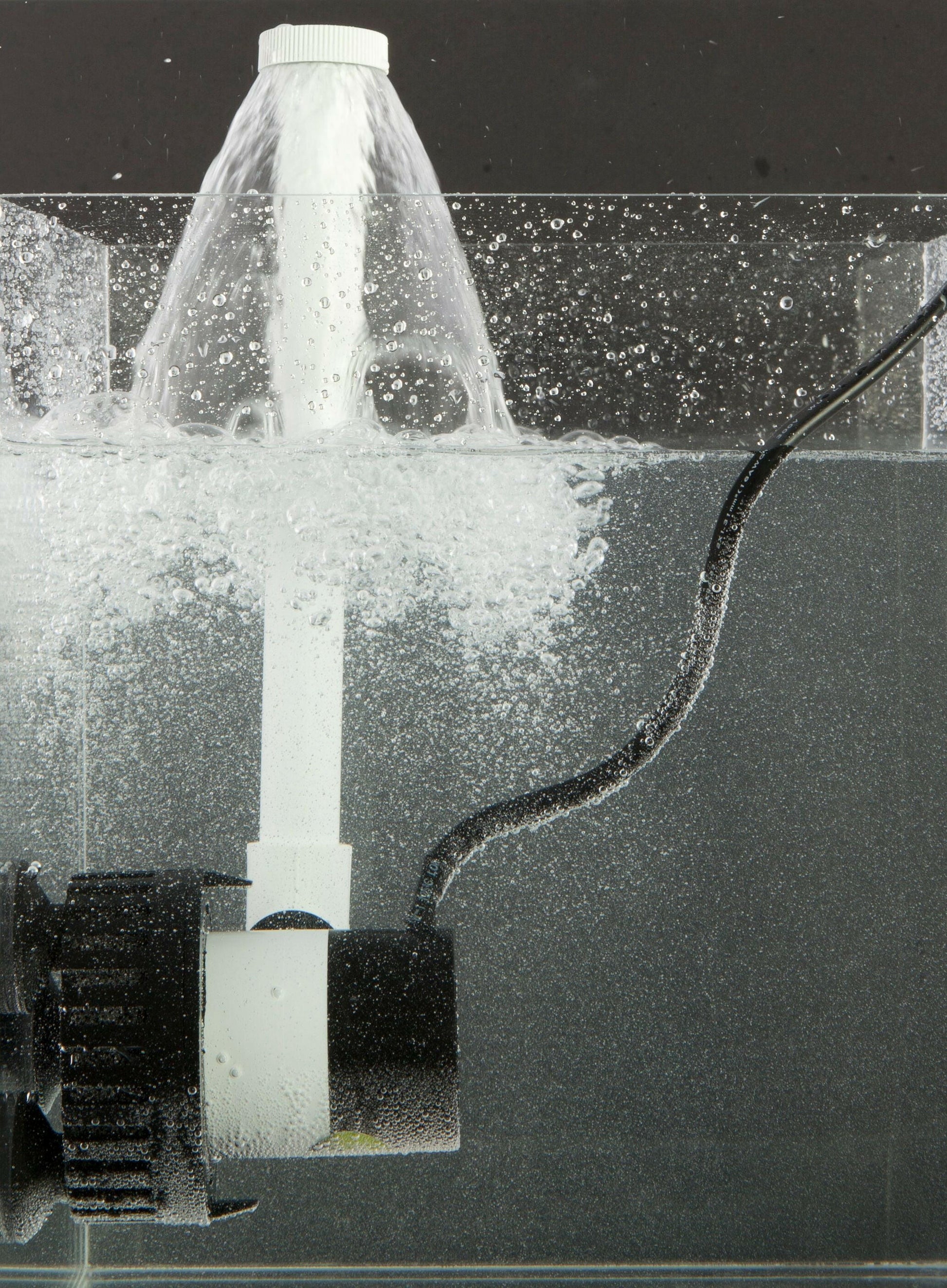 Ultimate Fish Saver: Preserve Freshness and Flavor!.