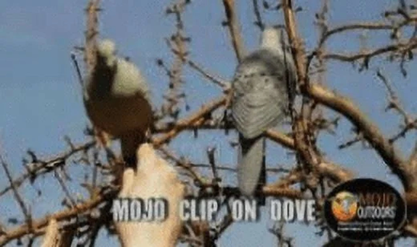 Clip-On Dove Decoys, 4-Pack, HW9004, Lightweight Design, Ideal for Dove Hunting